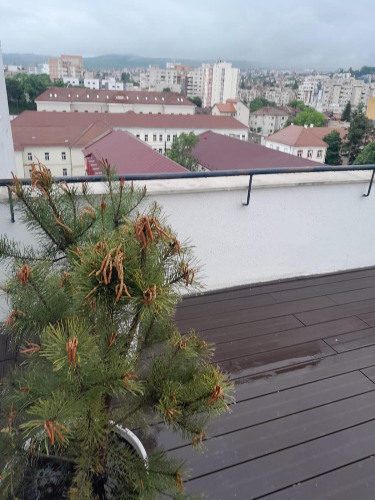 Cristinco Panoramic Lejlighed Cluj-Napoca Eksteriør billede